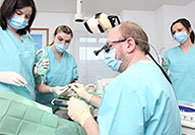 Wir bieten ein umfangreiches, chirurgisches Leistungsspektrum